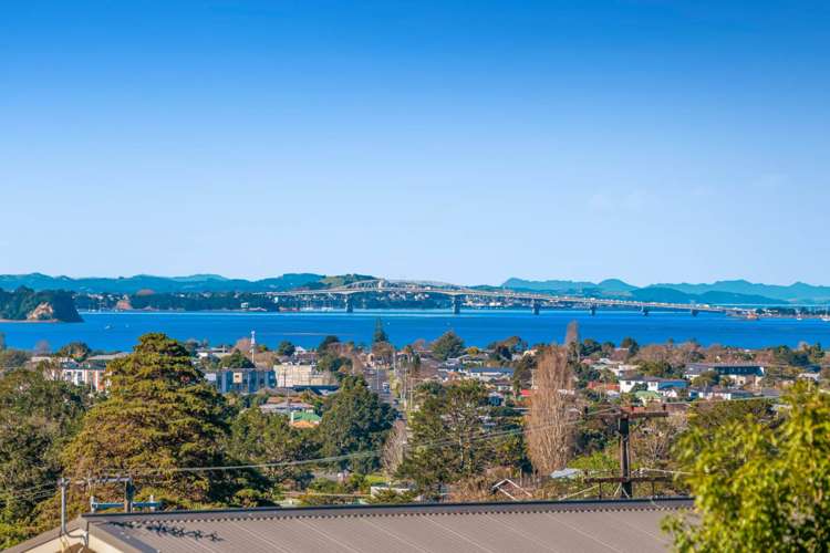 Lots 2, /196 Royal Road Massey_22