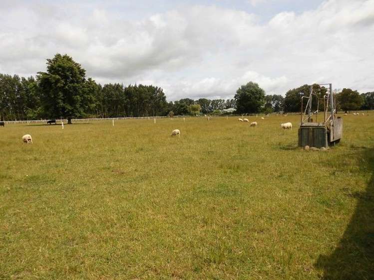 142 Mccabe Road Te Aroha_8