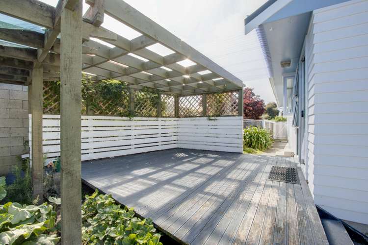 33 Norfolk Street Tamatea_13