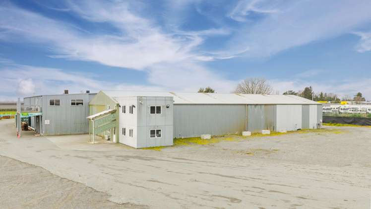 Tenancy 1/1255 Omahu Road Twyford_8