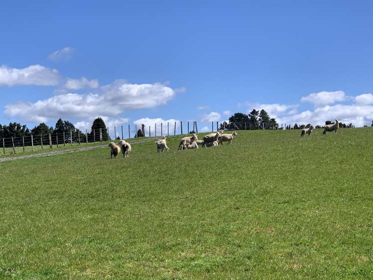 355 Motete Road Raetihi_18