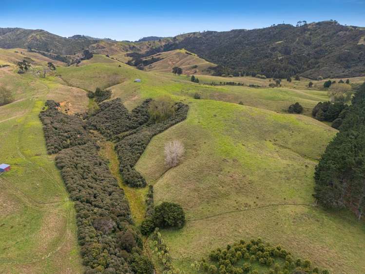 334A Komokoriki Hill Road Makarau_4