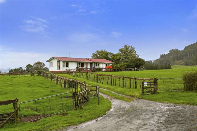 65 Willows Road Waihi_4