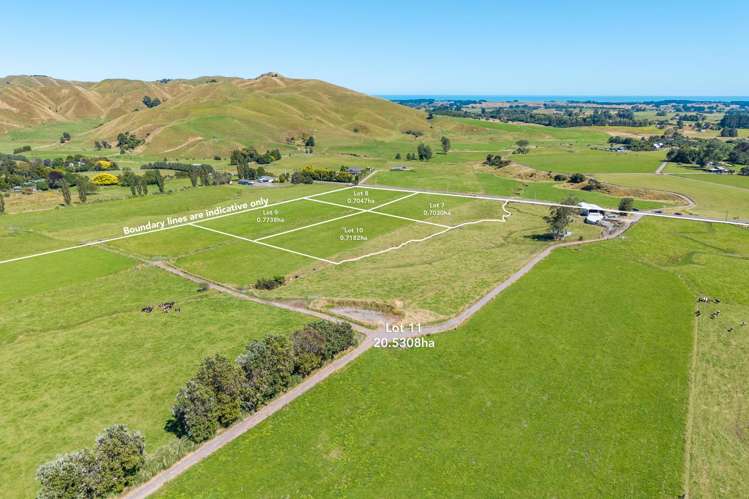 650 Waitohu Valley Road Manakau_12