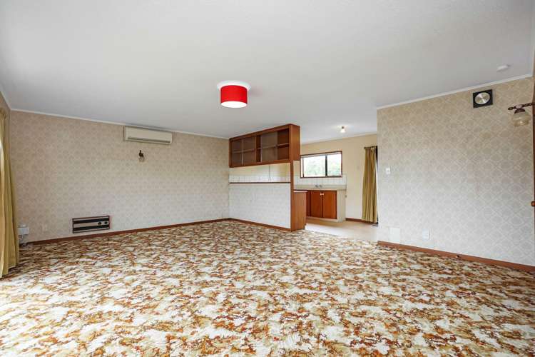 103 Chalmers Avenue Hampstead_6