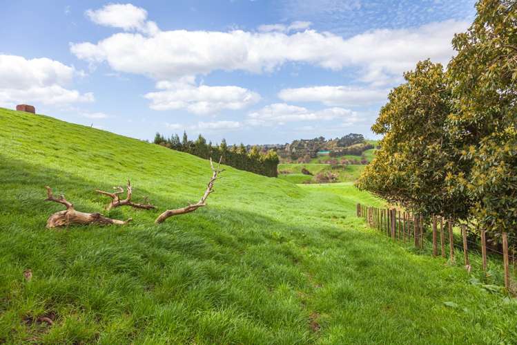 231 Walford Road Aongatete_23