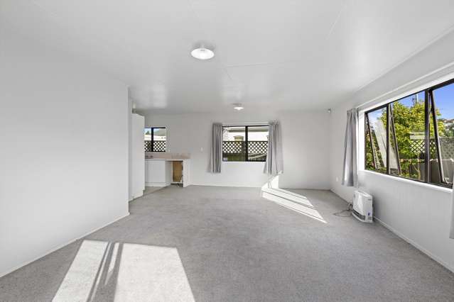 2/65 Wakefield Street Alicetown_4