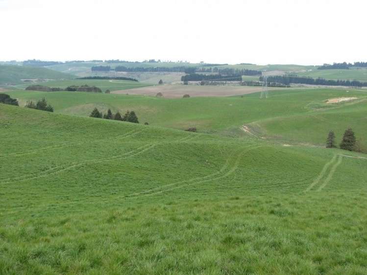 62 Harveys Road Island Cliff_7