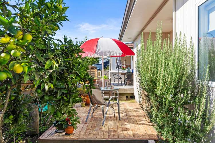 5 Ascot Road Mt Maunganui_17
