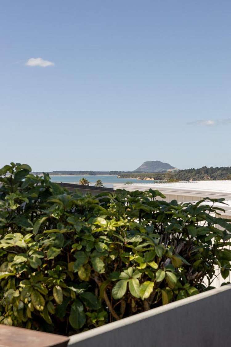 81 Hamurana Road Omokoroa_23