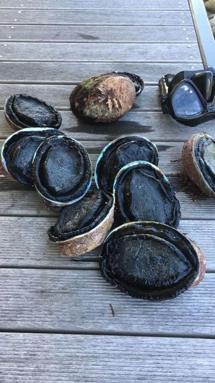 149 Te Awaiti Road Tora_20