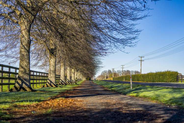 Station Road Matamata_6
