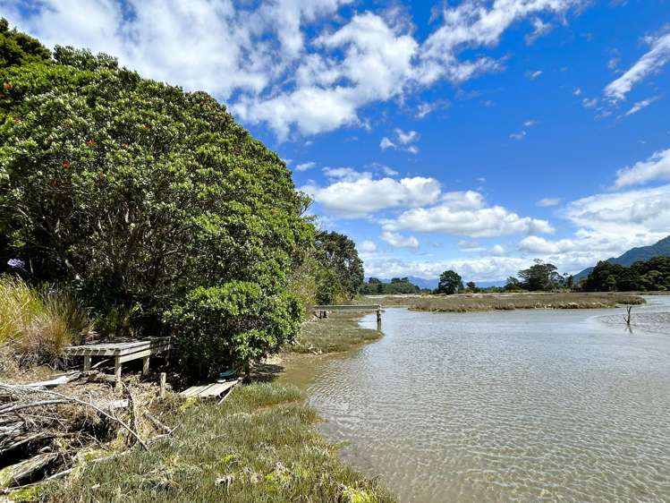 56 Totara Avenue Collingwood_11