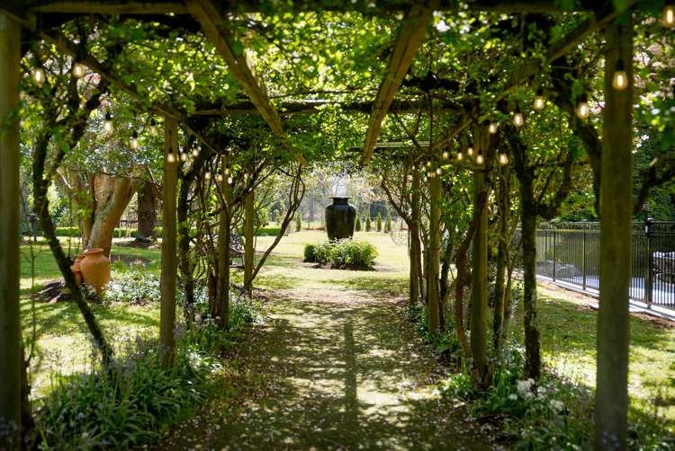 18 Mole Street Greytown_31