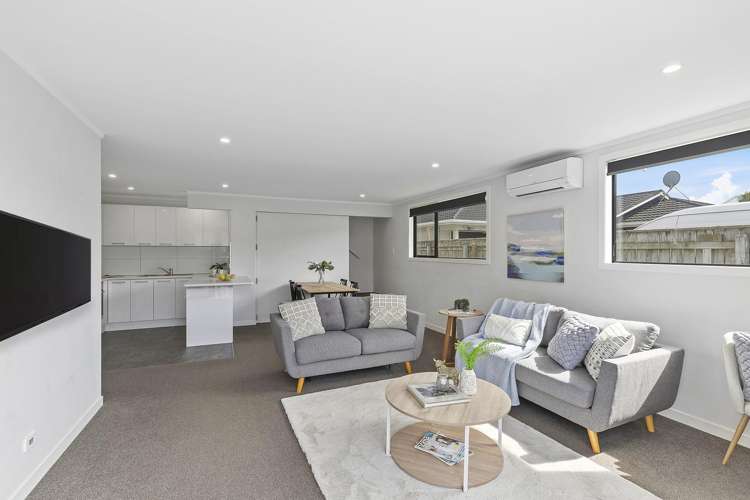 103a Hobart Street Miramar_7