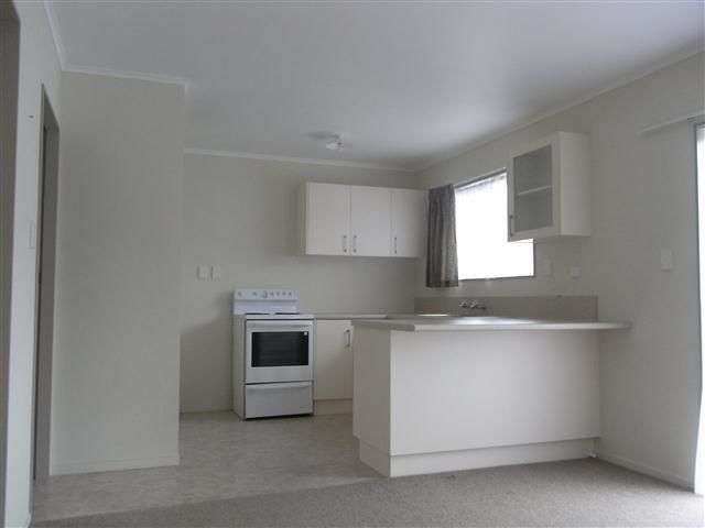 5b Wilton Street Levin_1