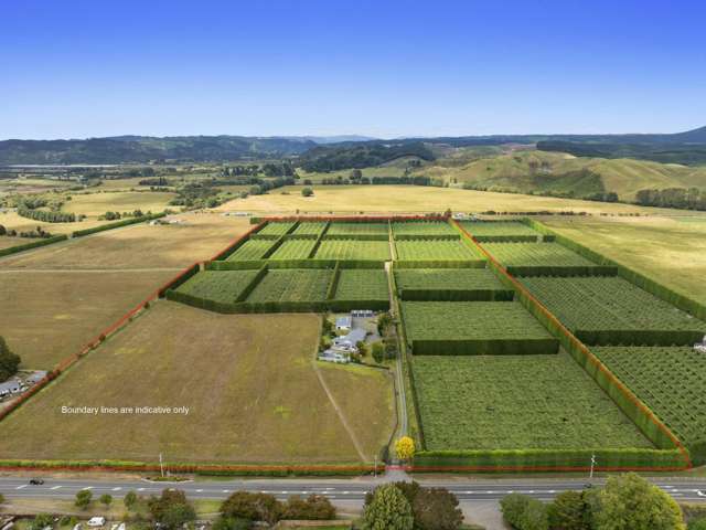 Finest kiwifruit orchard, home, shed combo