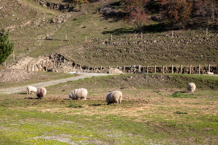 25 Smith Street Roxburgh_25