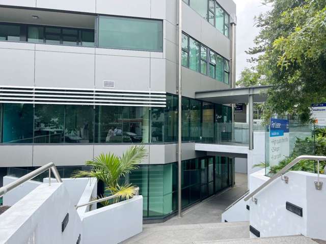 308 Parnell Road Parnell_1