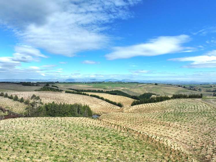 174 McCulloch Road Awamangu_17