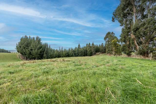 22 Paterson Road Waimumu_1