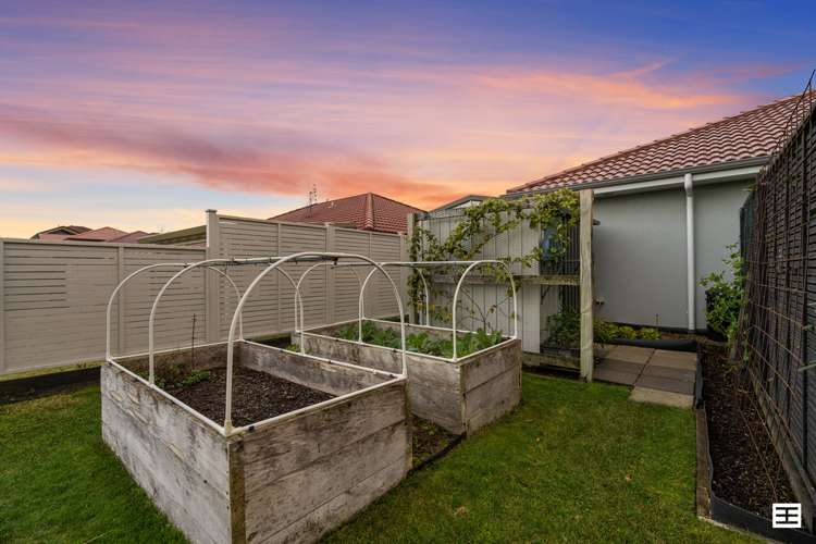 11 Carnoustie Place Aongatete_30