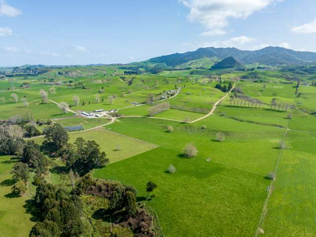 777 Oreipunga Road Cambridge_2