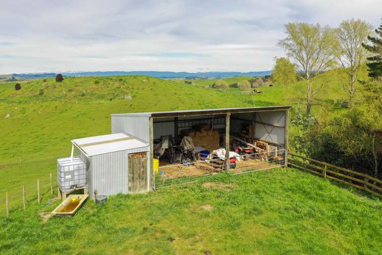2363 Puketitiri Road Central Hawkes Bay Coastal_19