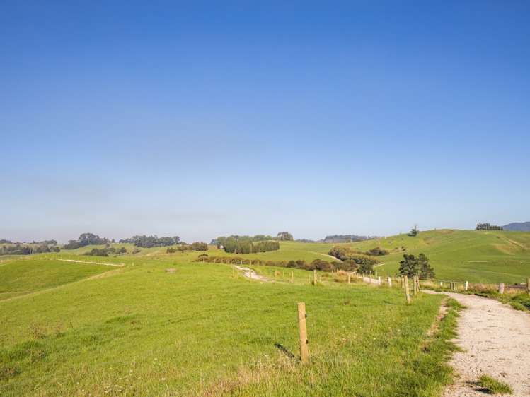 450a Settlement Road Kaiwaka_15