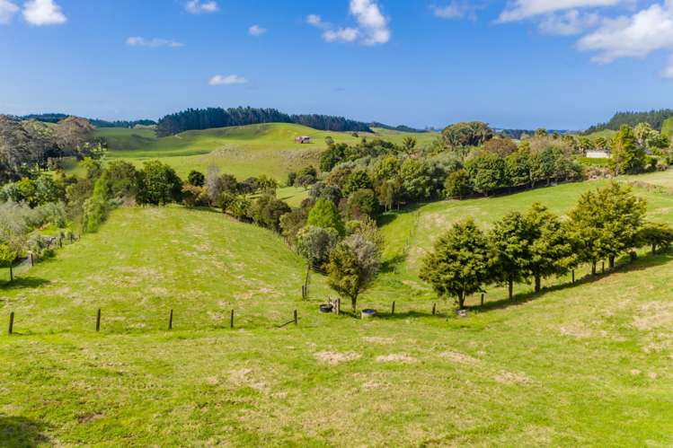 110 River Drive Kerikeri_11