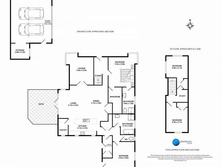 4 Young Street Claudelands_24