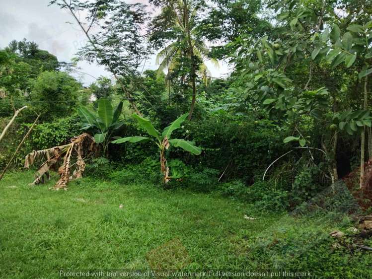 Address withheld Labasa_16