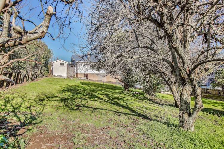 48 Campbell Road Onehunga_6