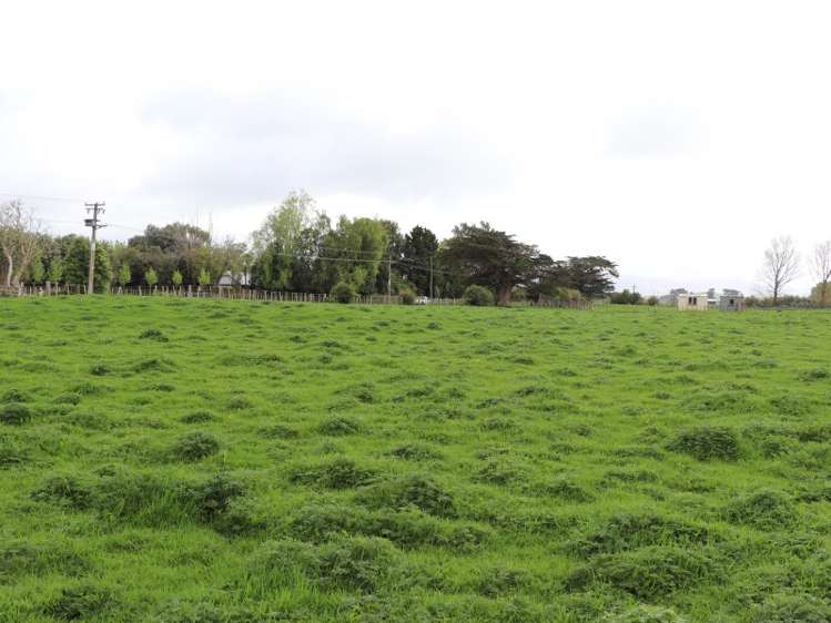 50 Gladstone Street Woodville_4