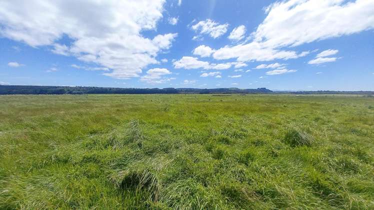 864 Papatotara Road Papatotara_7