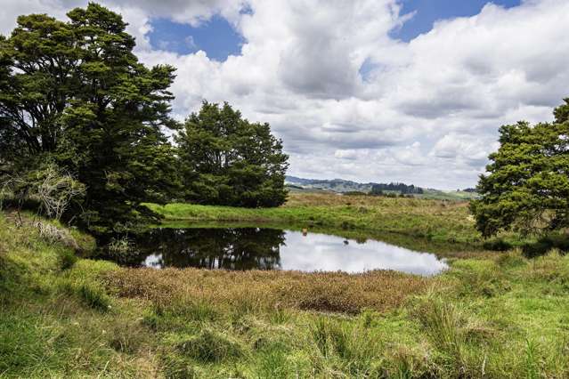 1085 Riponui Road Riponui_2