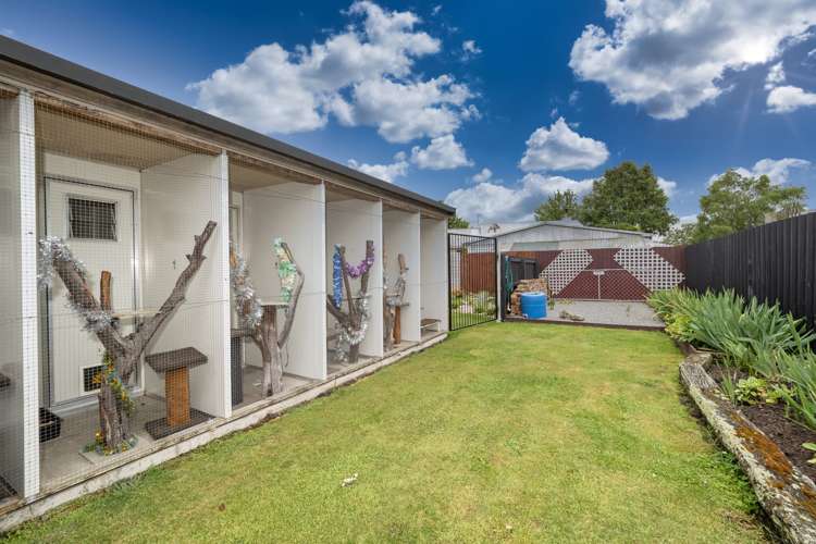 193 Grove Place Tinwald_1