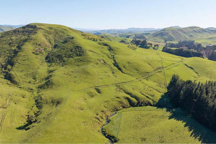 467 Waitahora Valley Road Dannevirke_11