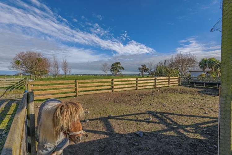 375 Lethbridge Road Feilding_22