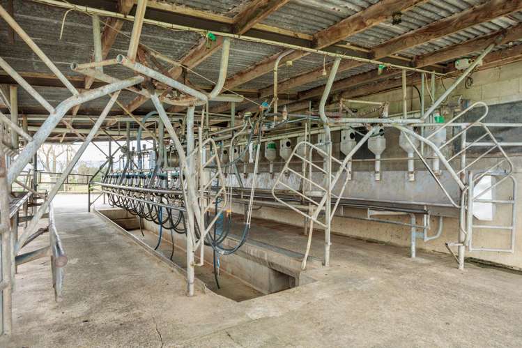 222 Gunn Road Matamata_10
