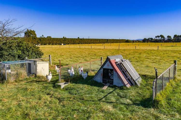 186 Terrace Road Leithfield_31
