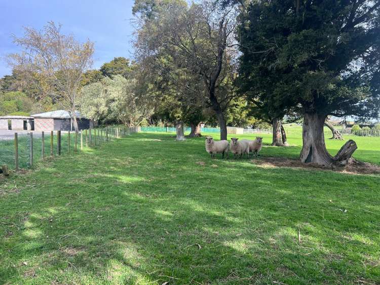 341 Maharahara Road Dannevirke_20