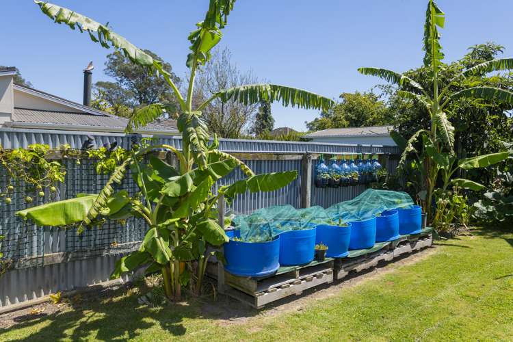 10 Taruheru Crescent Mangapapa_16