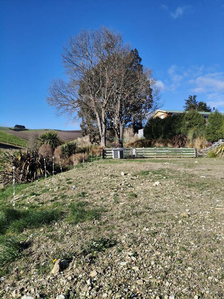 24c Thurso Street Lawrence_12