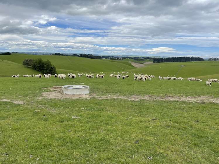 355 Clifton Road Clinton and Surrounds_17