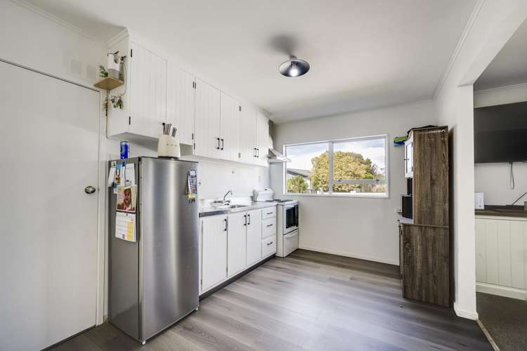 16 Guildford Street Tamatea_4