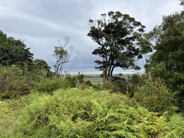 Lot . State Highway 6 Barrytown_7