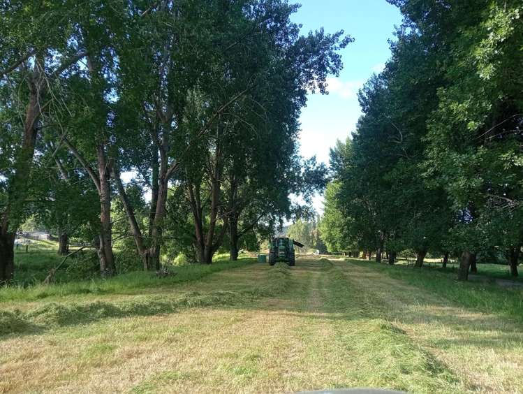 48 Doel Road Kawakawa_42