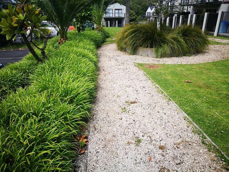 36/437b Albany Highway Albany_13