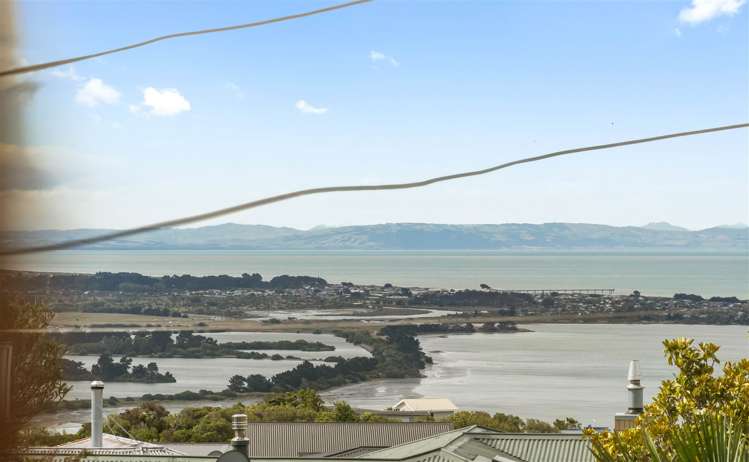 126 Major Hornbrook Road Mount Pleasant_10